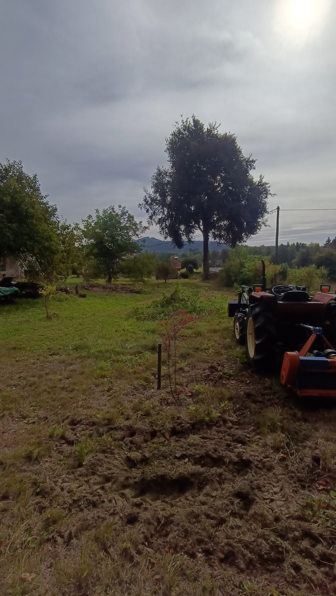 Mulčovaní s pozemku s nálety 1500m2