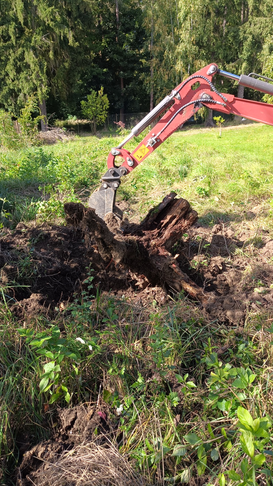 Vykopávání starého pařezu minibagrem